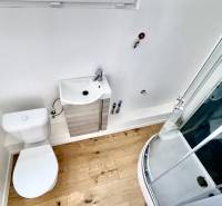 Bathroom in a cabin with a toilet, sink, and shower on a wooden floor.