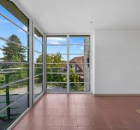 The interior of the villa with large glass windows and a view of the garden and surroundings.