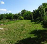 A garden by a family house on Futrinka Street in Krasznokvajda, surrounded by trees and lawn.