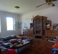 Living room in a family house with solid wood furniture, a sofa, and a tropical plant.