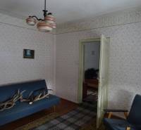 A room with a blue sofa, antlers, patterned wallpaper and paintings, wooden floor.