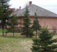 A family house in Telkibanya with a garden and coniferous trees at the front of the property.