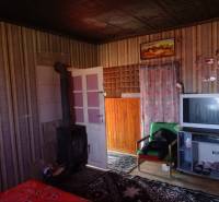 Interior of a family house with a television, sofa, fireplace, and patterned wallpaper.