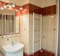 Bathroom in hotels and guesthouses with a sink, shower, and radiator.