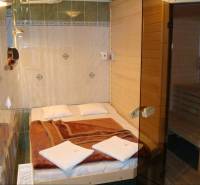 A room in hotels and guesthouses with a bed, towels, and a sauna.