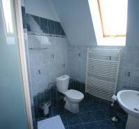 Bathroom with toilet and skylight in Hotels and guesthouses.