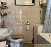 A bathroom in a family house with a shower, sink, and washing machine.