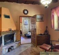 Living room with a fireplace in a family house, warm colors and wooden details.