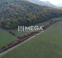 A meadow surrounded by forest next to the road in Jasenov on Special Properties.