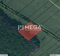 Aerial view of plots in Jasenov, Jasenov with marked special properties near the forest.