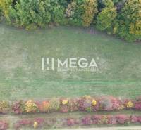 Aerial view of a green meadow and tree cover in Jasenov, Jasenov Street.
