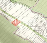 Land map with location designation in the cadastre of Jasenov, Special properties.
