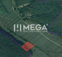 Orthophotomap of the property in Jasenov on Jasenov Street, Special properties.
