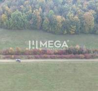 Meadow with trees near Jasenov on the road to Jasenov, suitable as special properties.