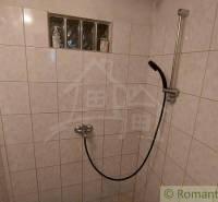 A shower corner in a cabin with tiles and a showerhead.