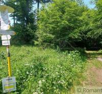 Forest trail near Myjava with a tourist signpost.