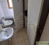 A bathroom in a cabin with two sinks, a mirror, and a radiator.