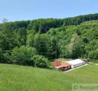 Cottages in Myjava are surrounded by dense forest and green meadow.