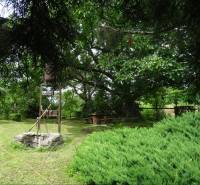 The garden of a family house in FONs with a bench and lush greenery in a natural setting.