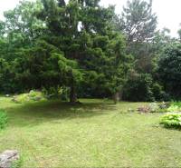 The garden of a family house in Fony with a lawn and diverse vegetation.