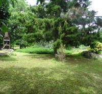 A garden at a family house in Fóny with a large coniferous tree and a well.