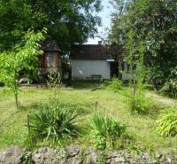 A garden with a family house in Tornaszentandrás, surrounded by lush vegetation and trees.