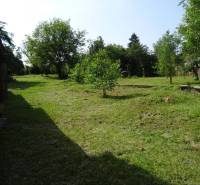 A garden at a family house in Tornaszentandrás, grass, trees, well-maintained green space.