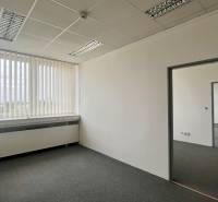 An empty office with carpet, white walls, and vertical blinds on the window.