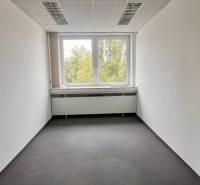 Office with white walls, dark carpet, and a large window overlooking greenery.