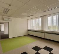 Spacious offices with a striking carpet and large windows.