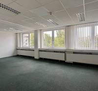 Empty offices with large windows and carpeted floors.