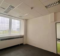 Empty office with carpet, large window, and view into the adjacent room.