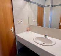 Bathroom with a sink, mirror, and wooden door in the office.