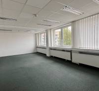 Office spaces with carpets, air conditioning, and large windows on Drieňová in Bratislava - Ružinov.