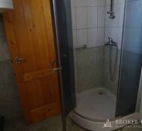 A bathroom in a family house with wooden doors and a shower corner.