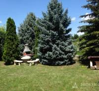 A garden at a family house in Encs with a fireplace, table, and benches among the trees.
