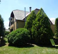 The garden of a family house in Encs with tall coniferous trees and a satellite dish.