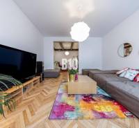 Living room in a two-room apartment with a large sofa, colorful carpet, and a plant.
