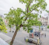 Hviezdoslav Square in Bratislava with a group of people and greenery.