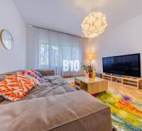 Living room in a 2-room apartment with a comfortable sofa, television, and colorful carpet.