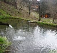 A stream feeding a pond in the gardens in Banská Bystrica, a cottage in the background.