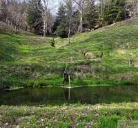 Beautiful green gardens with a pond and trees in Banská Bystrica.