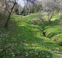 Gardens in Banská Bystrica with funnel-shaped grassy slopes and leafless trees.