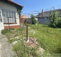 An overgrown yard of a family house with a pump in Nové Zámky, surrounded by green plants.