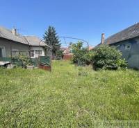 A garden between houses in Nové Zámky with a manicured lawn and the roofs of family houses.