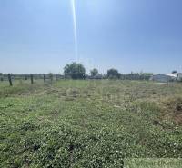 A grassy plot in Nové Zámky, suitable for building a family house, with visible fencing.