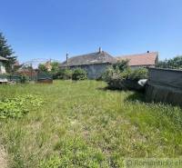A garden with a lawn at a family house in Nové Zámky, surrounded by buildings and greenery.