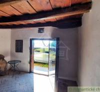 Wooden ceiling and glass doors in the cabin with a view to the exterior.