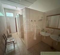 A bathroom in a family house with two sinks, a mirror, and a shower.