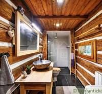 A bathroom in a wooden cabin with a sink, shower, and mirror. Rustic interior.